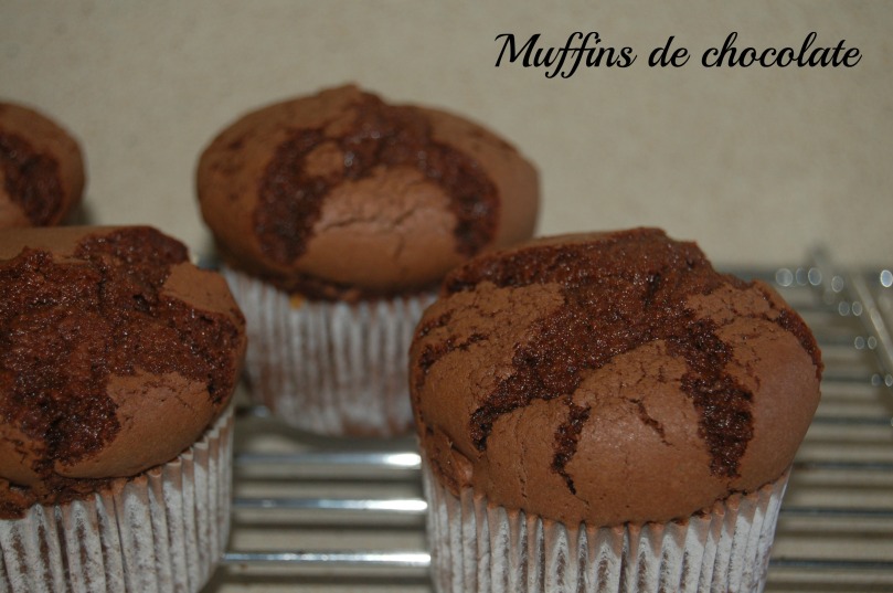 Muffins chocolate